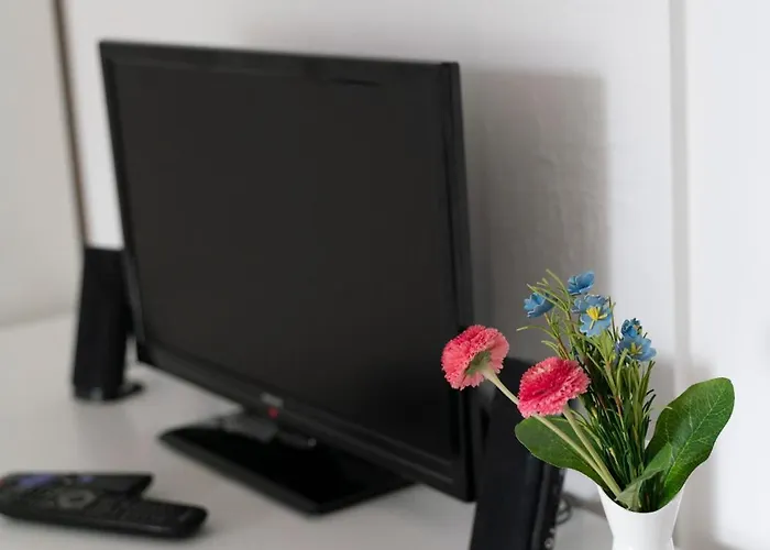 Frisch Renovierte 2-zimmer-wohnung